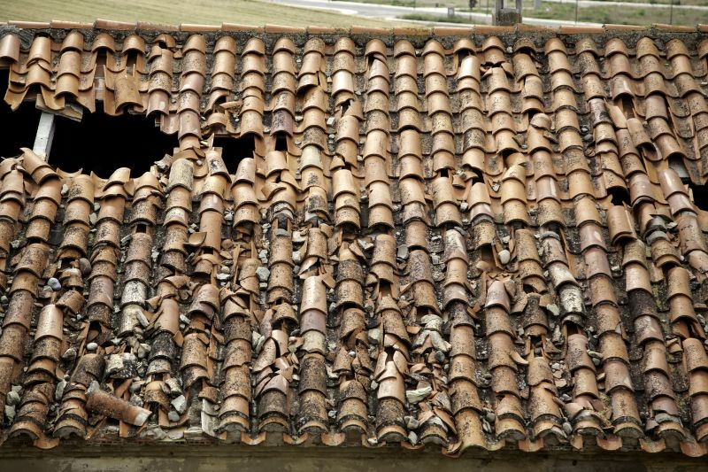 Roof Damage Inspection