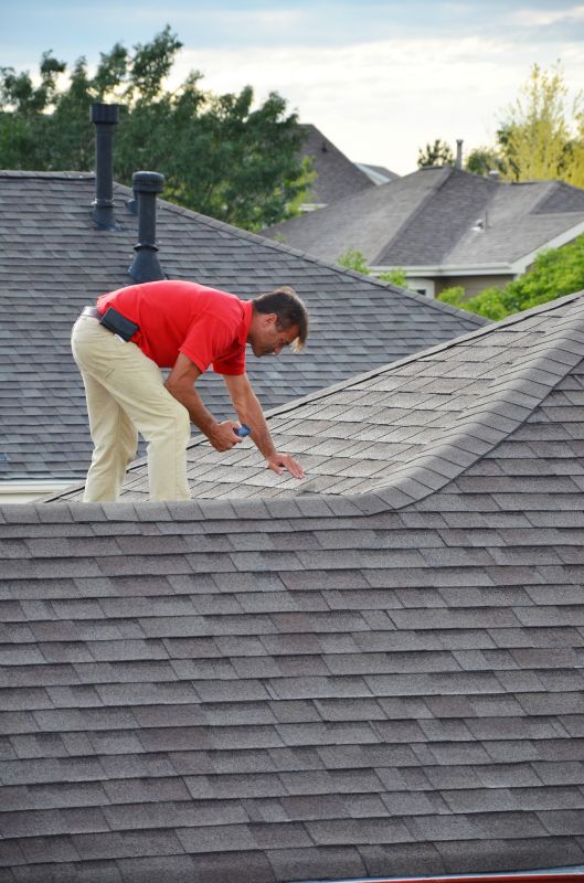 Roof Maintenance